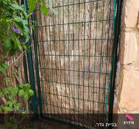 שער מתכת ירוק עם צמחייה מסביב